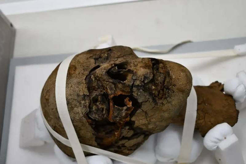 Una imagen de la cabeza de la momia encontrada.