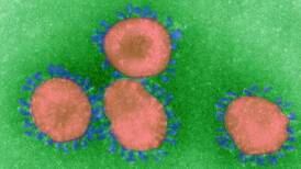 Así surgen las variantes del coronavirus en el mundo