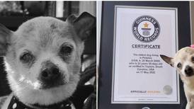 Falleció a los 22 años la perrita más longeva del mundo según Récord Guinness