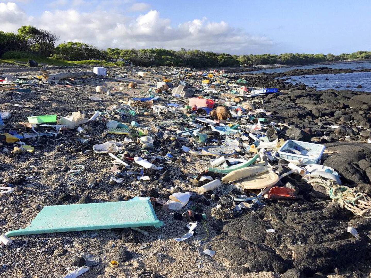 Isla de Alcatraz Circo acento Playas repletas de basura fueron declaradas como no aptas