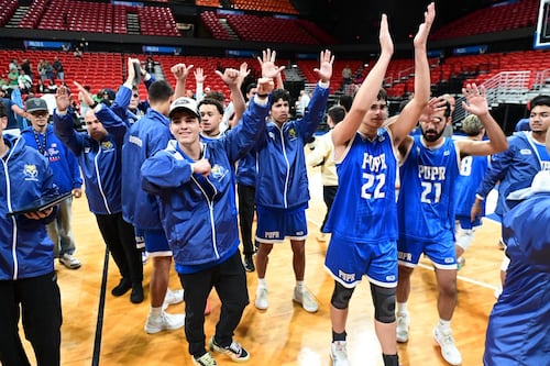 Castores de la Politécnica a las puertas de su primer campeonato en el voleibol de la LAI