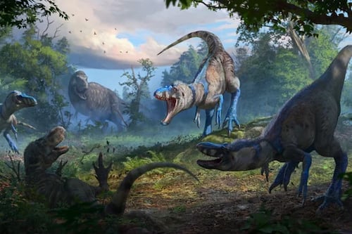 Reciente hallazgo cambia todo lo que sabíamos del T. rex