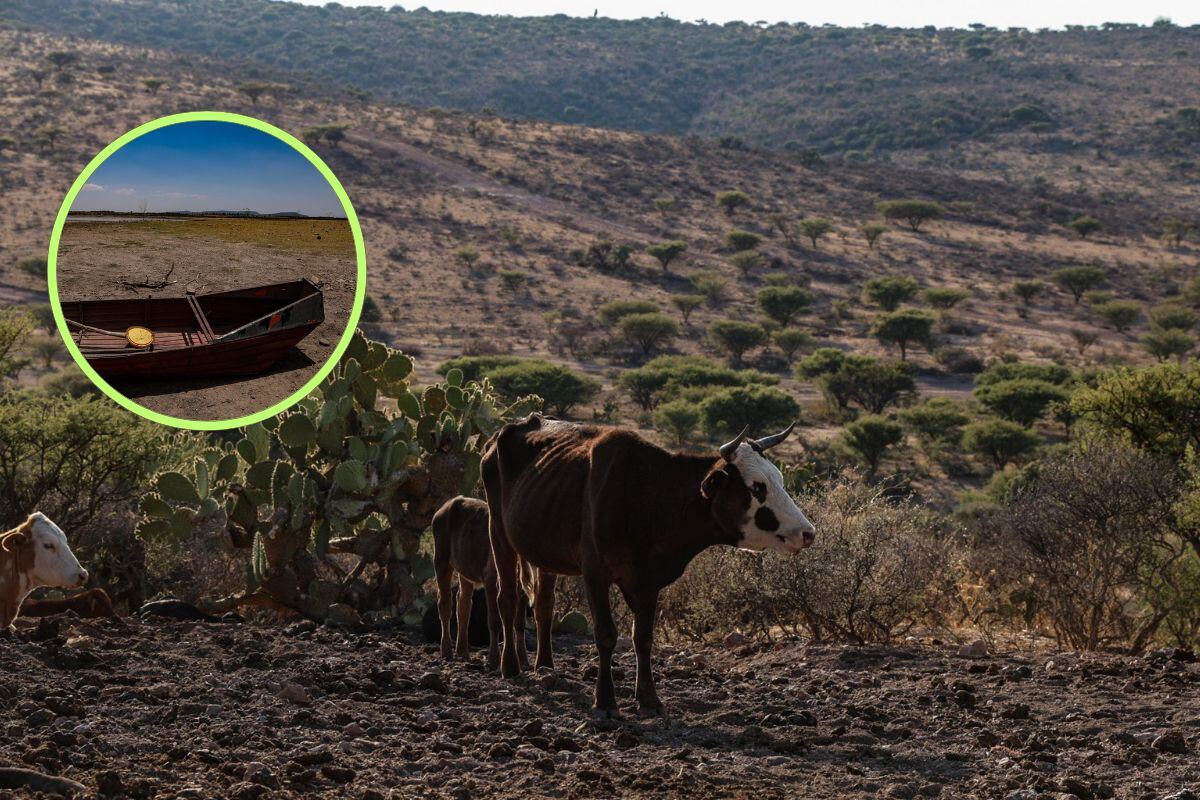 El cambio climático causa efectos devastadores en varios estados de México.