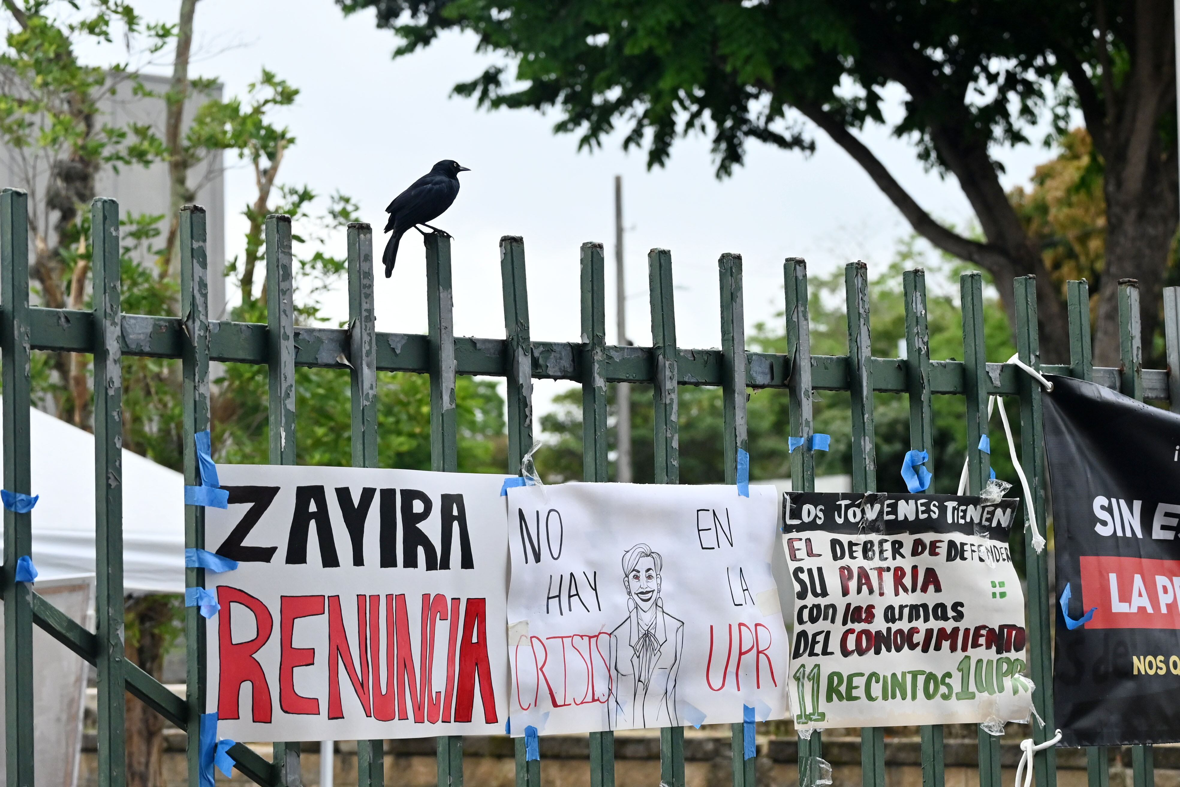 Río Piedras en huelga: estudiantes niegan motivación política en pedido de renuncia a presidenta UPR