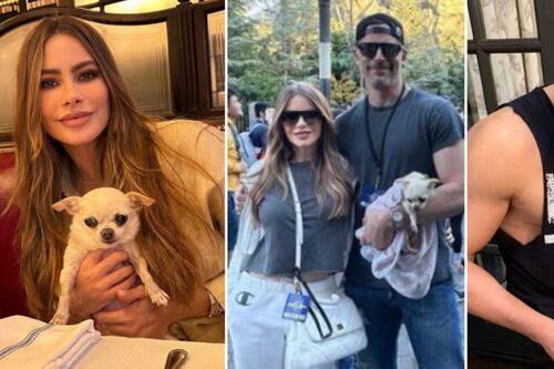 Sofía Vergara se queda sin perro tras su divorcio