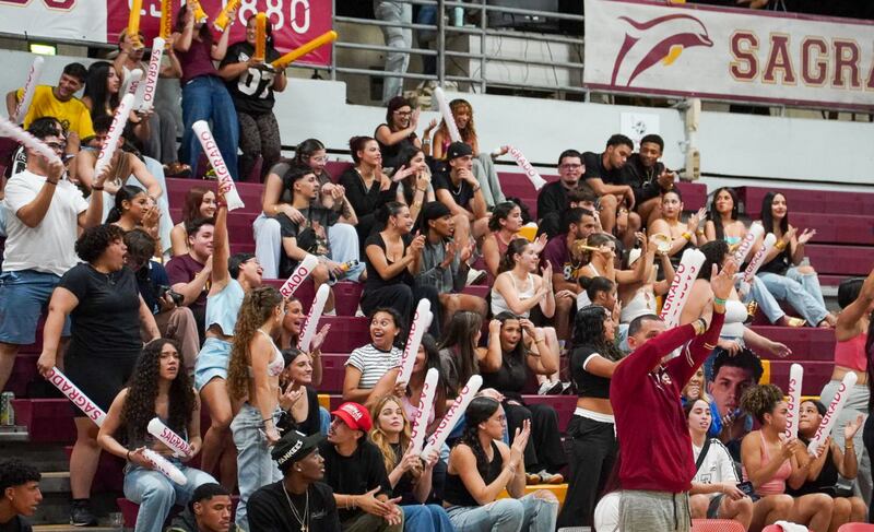 Los Delfines irán a la final del baloncesto de la LAI.
