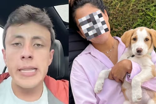 Fundación denunció que influencer habría abandonado a perrita criolla que adoptó para comprar mascota de raza