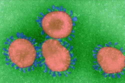 Así surgen las variantes del coronavirus en el mundo