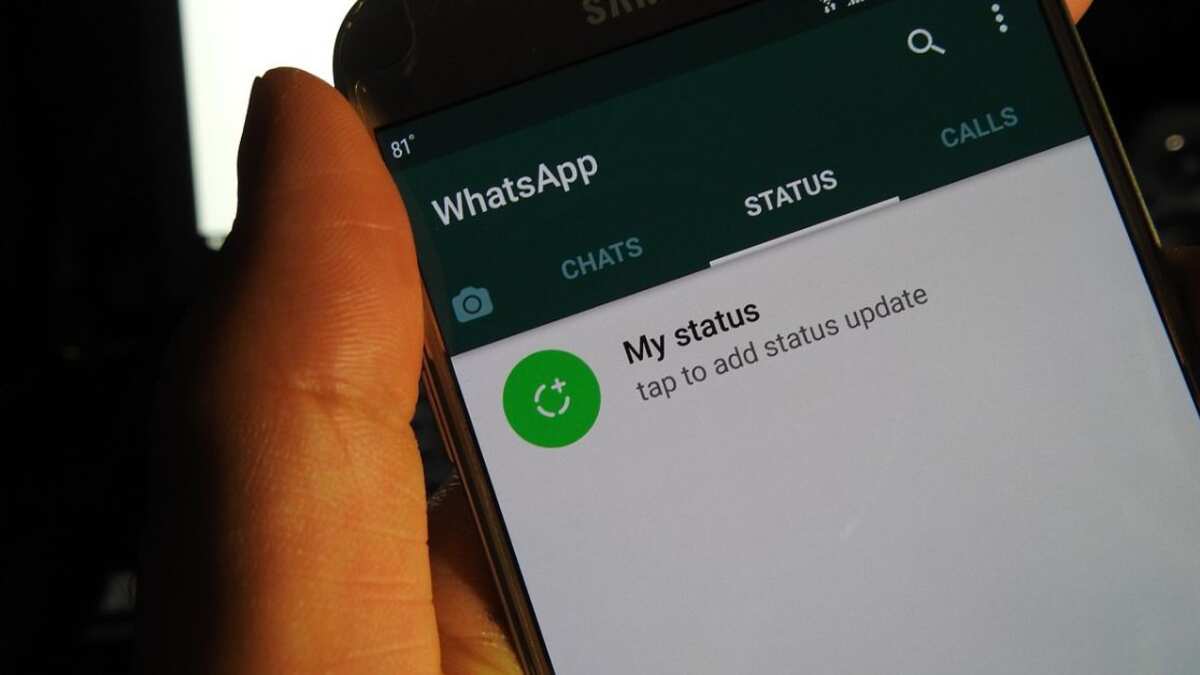 Los estados de WhatsApp son sumamente populares entre los usuarios de la aplicación