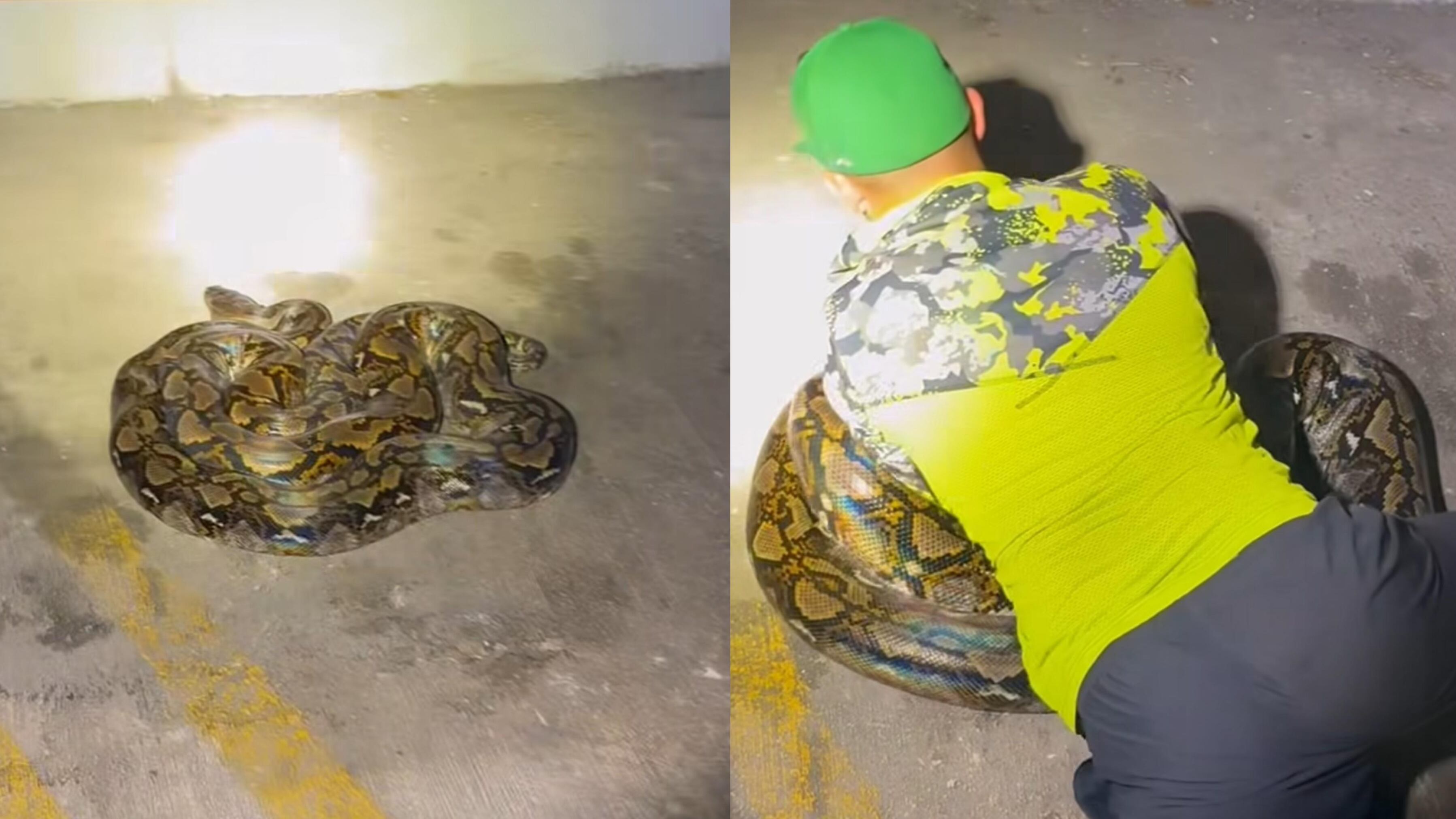 (captura de pantalla)