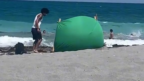 El video se volvió viral