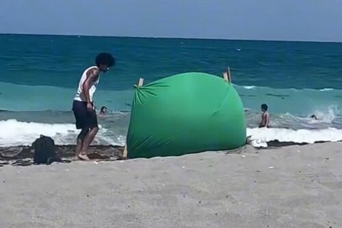 Joven es descubierto en pleno plan en la playa para hacer creer que teletrabajaba desde su casa: el video se volvió viral