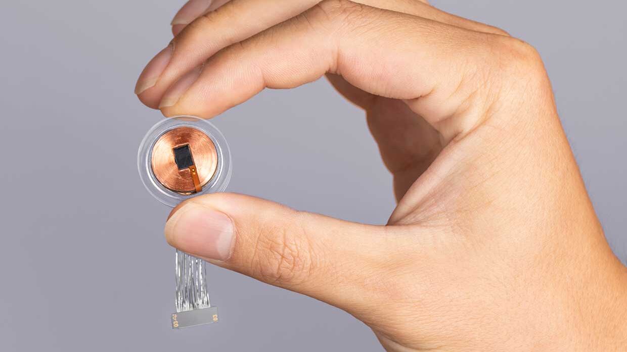 La fecha en la Neuralink promete curar la ceguera