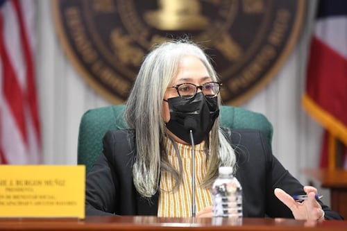 Representante Lisie Burgos: proyecto en contra de terapias es "heterofóbico"