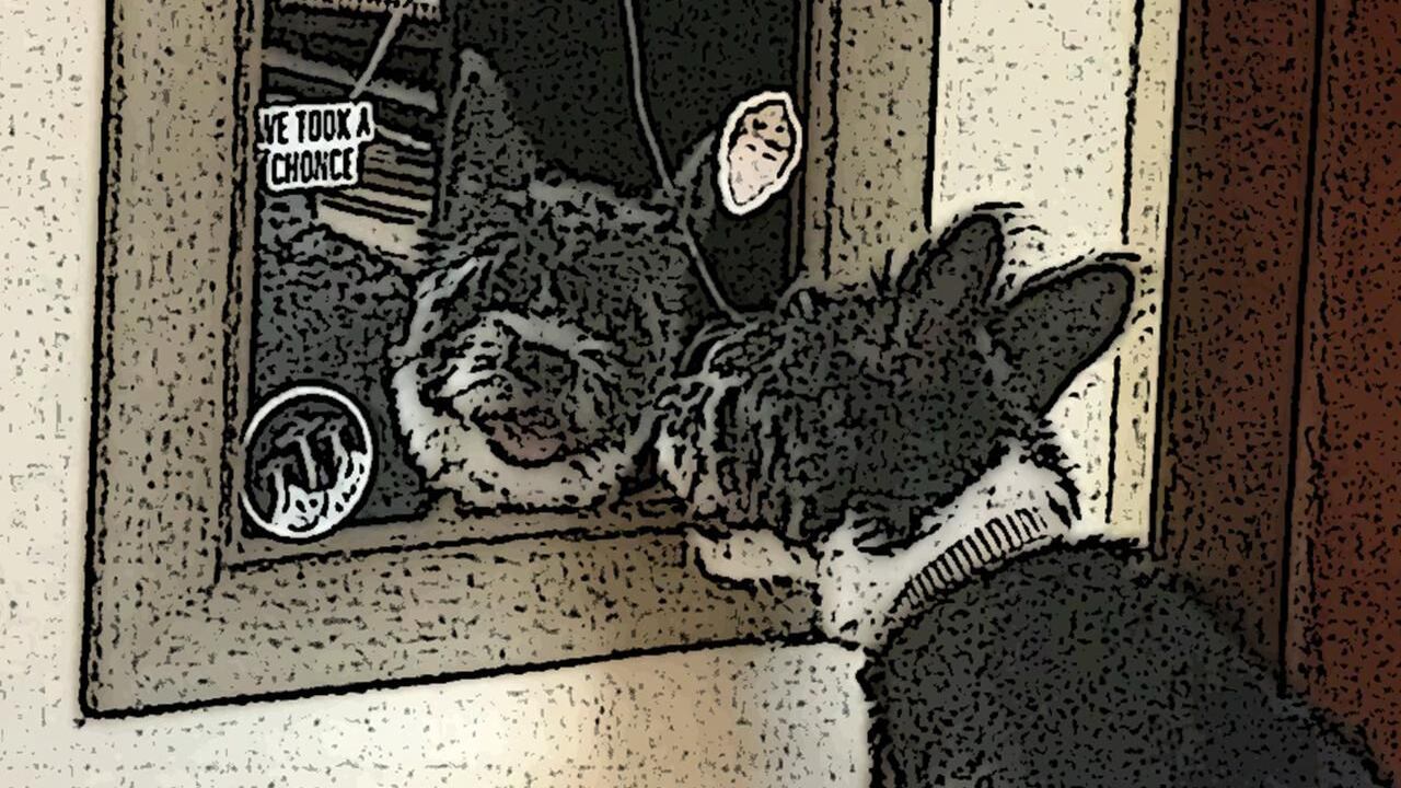 Columna de Alexis Zárraga en elcalce.com