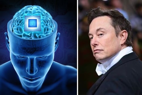 Neuralink: Elon Musk confirma que paciente con chip en cerebro puede mover “mouse” con su mente 