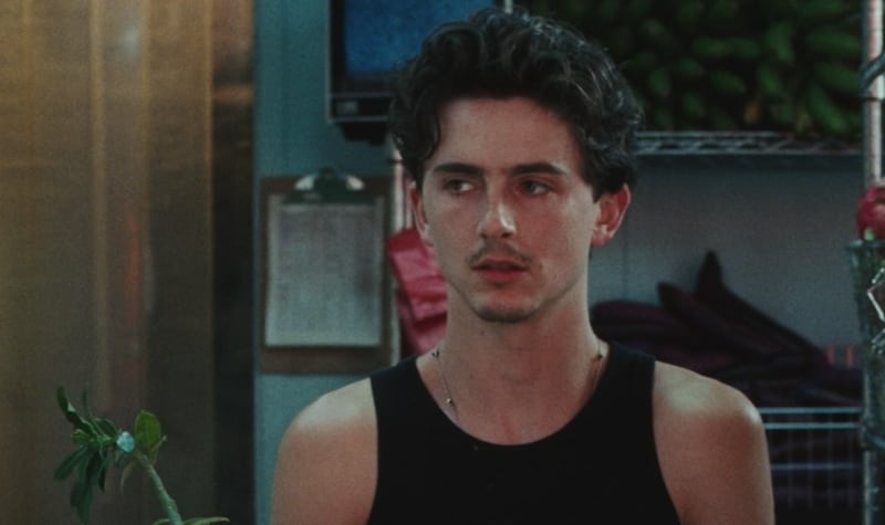 Timothée Chalamet romance exactriz cine adultos.