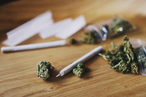 Perro detectó mujer con marihuana en sus partes íntimas cuando entraba a la cárcel