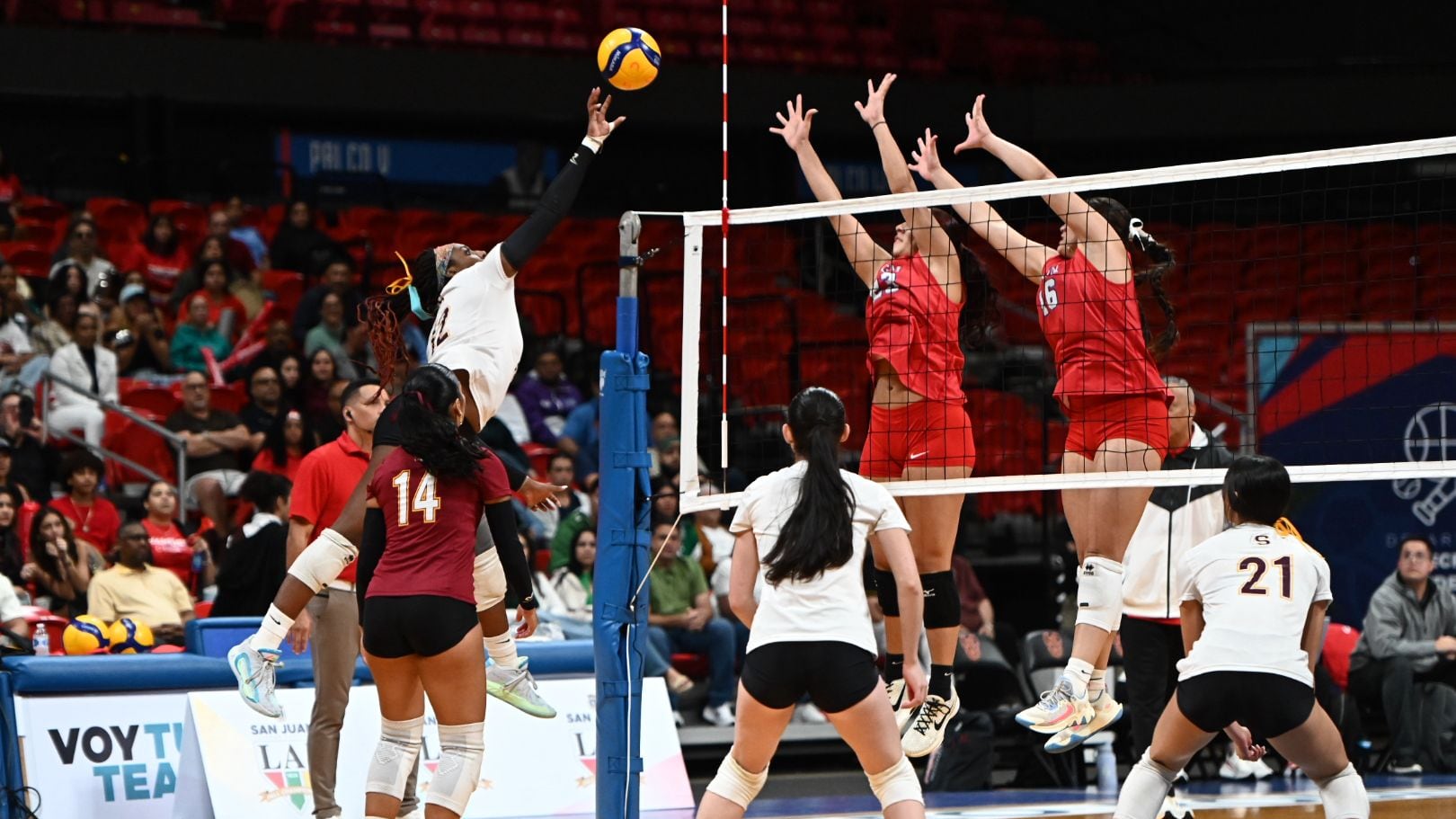 Sufrida y trabajada victoria para las Taínas de la UAGM en el voleibol