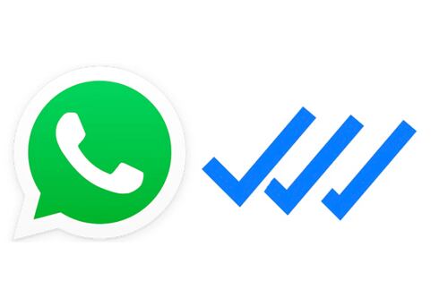 WhatsApp avisará las capturas de pantalla