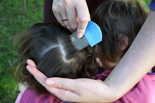 VIDEO: Niña llevaba meses con piojos, le llegaban al cuello y tenía huevos encima de sus orejas 