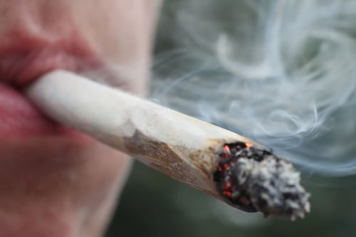 “Incendio forestal” con olor a marihuana “arrebata” a una comunidad entera