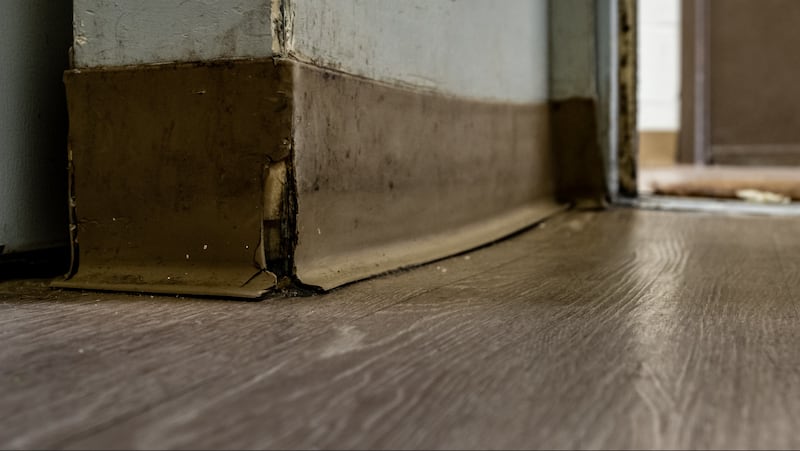 Daños causados por inundaciones en el interior del apartamento de Blanca Gardana.

Foto por Adi Talwar | Centro de Periodismo Investigativo