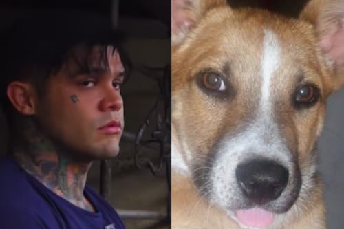 Yeferson Cossio lamentó la muerte de su amada Luna; la ‘perrita’ lo acompañó durante 14 años