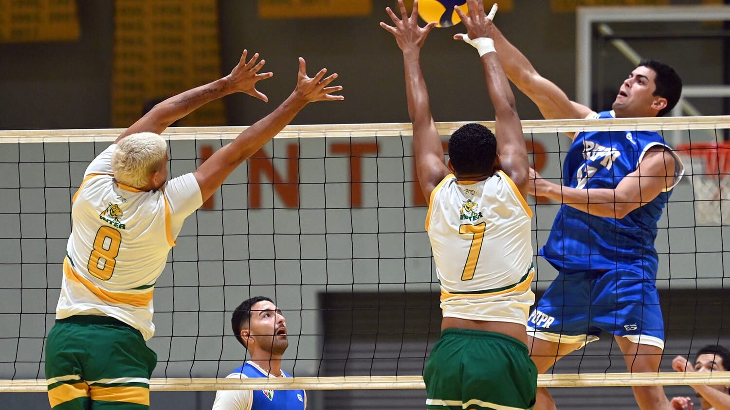 Liga Atlética Interuniversitaria