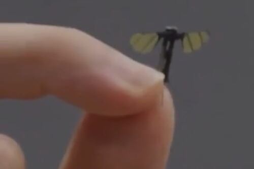 China crea un mosquito robot para espinoje