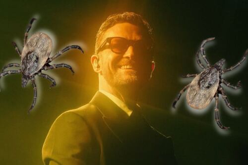 ¿Qué es la enfermedad de Lyme que padece Justin Timberlake?