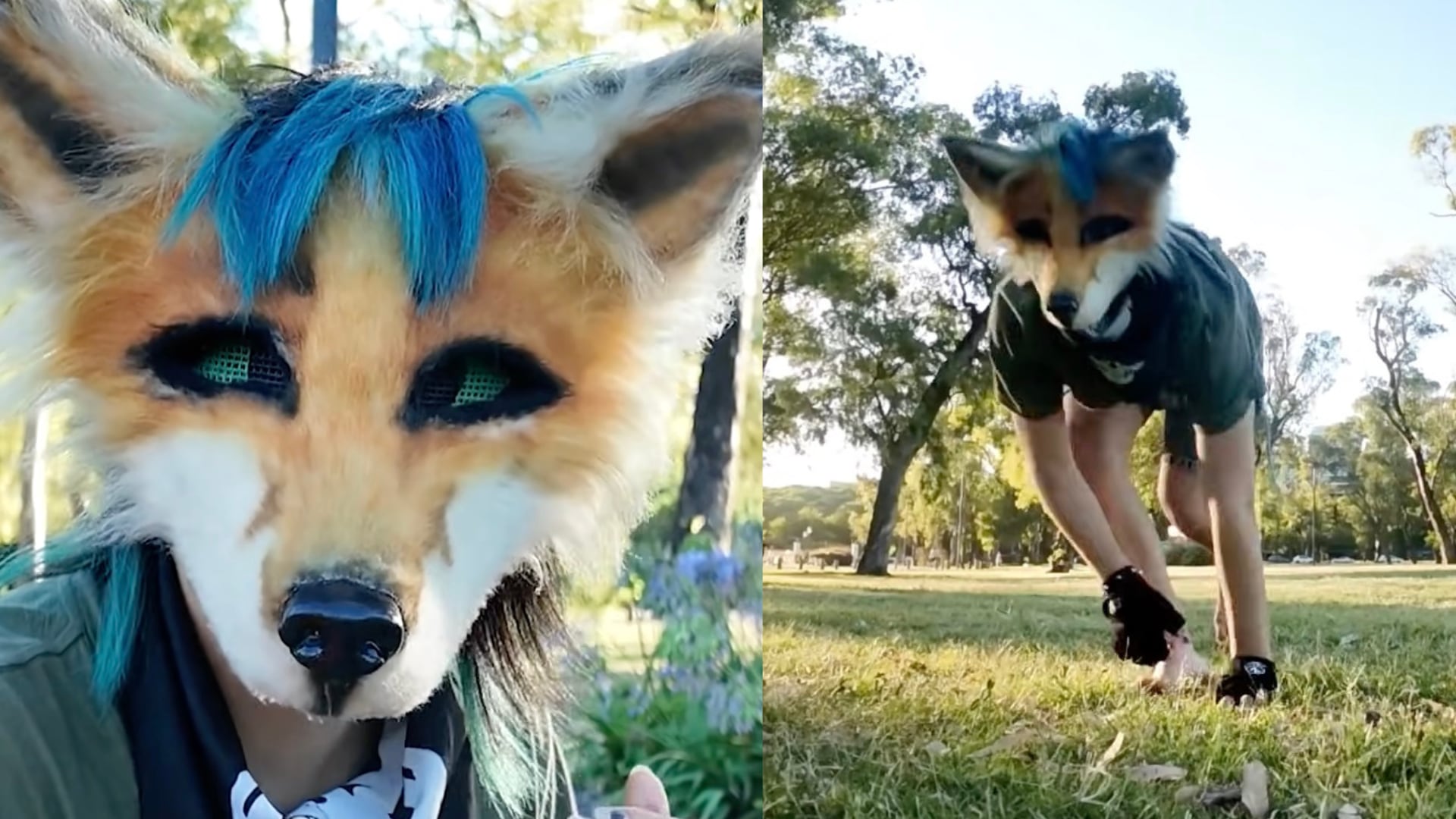 ¿Qué son los Therians?