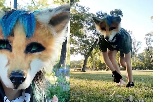 ¿Qué son los therian? Subcultura de personas que se identifican como animales