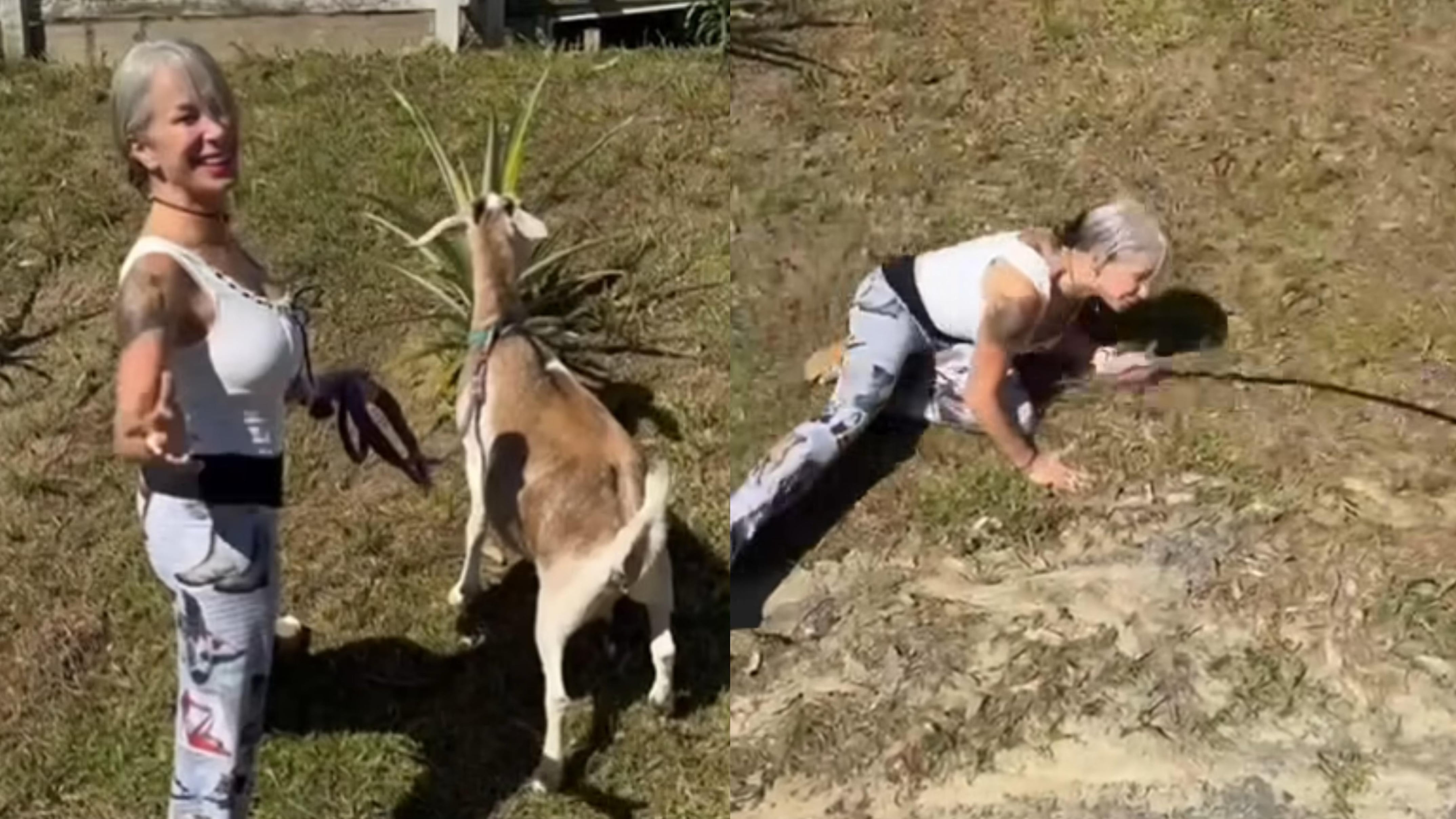 (Captura de pantalla)