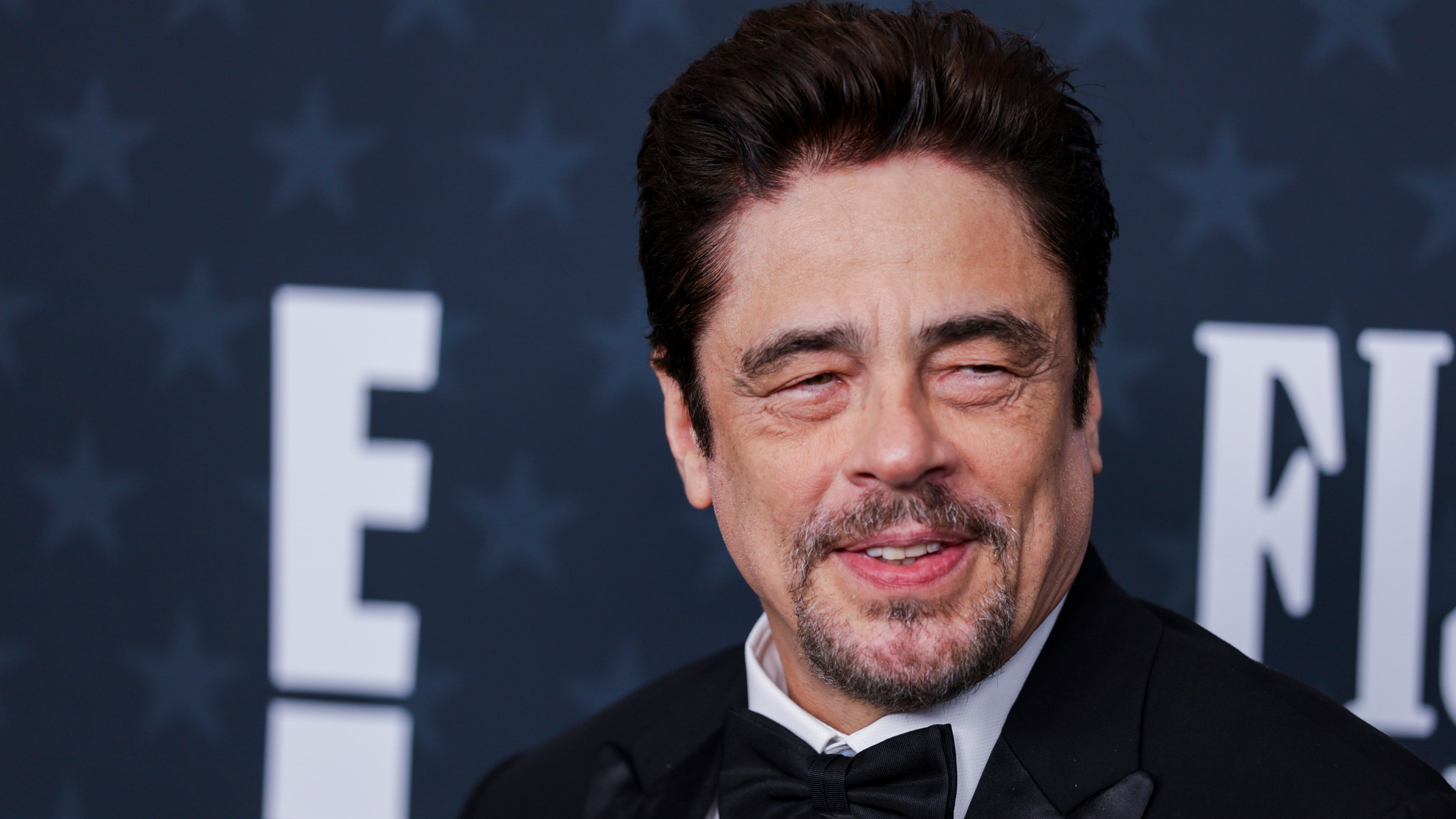 Imagen de archivo de Benicio del Toro. EFE/EPA/CHRIS TORRES EFE/EPA/CHRIS TORRES