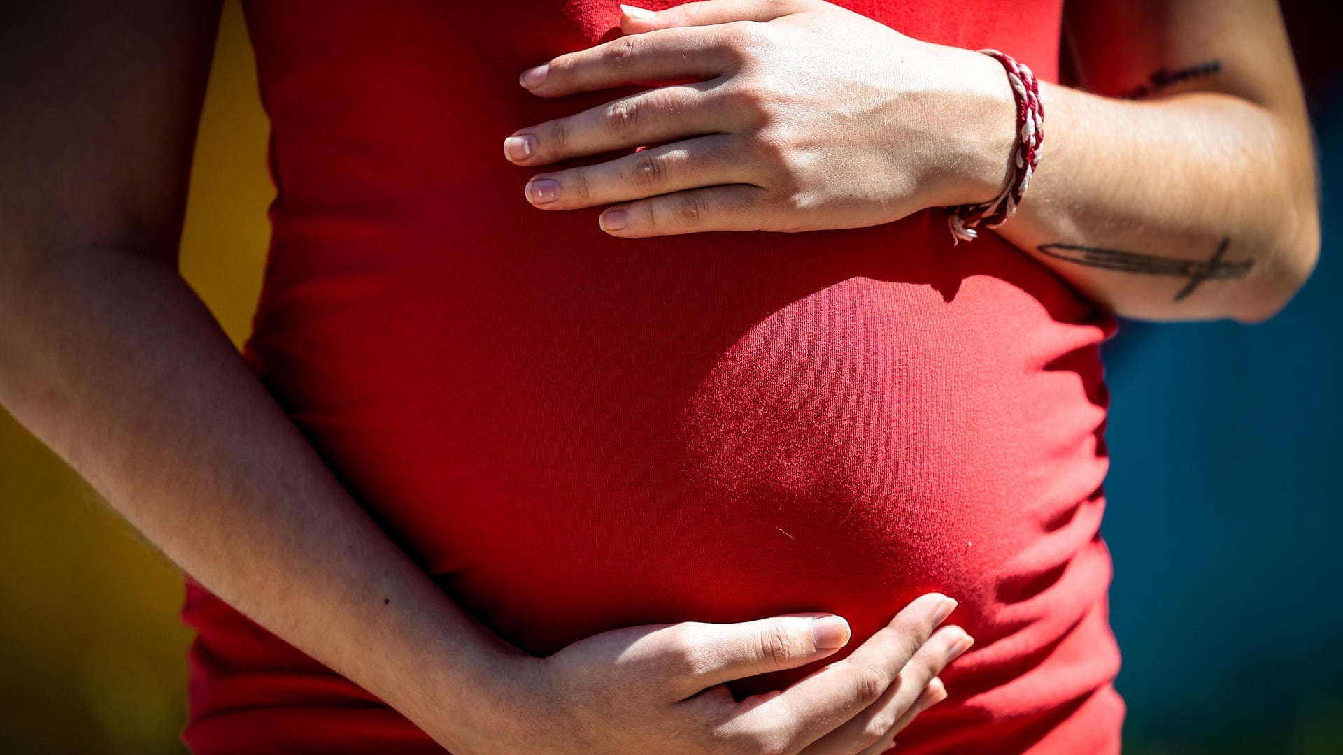 Diputada propone prohibir el acceso a pornografía a los rusos que no tienen hijos