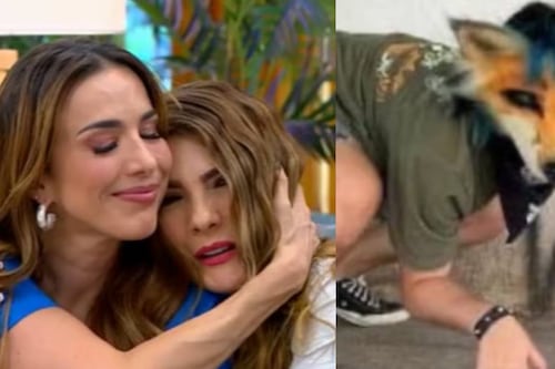 Presentadora revela que sus hijos son Therians; “para mí como mamá no es fácil”