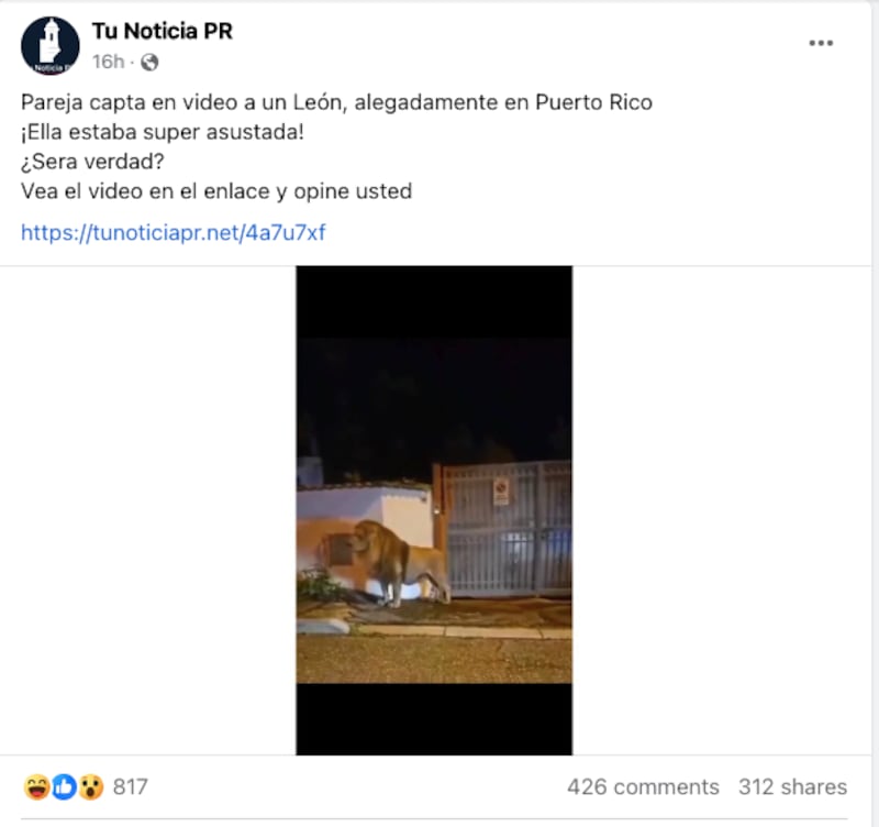 Noticia falsa sobre león en Puerto Rico