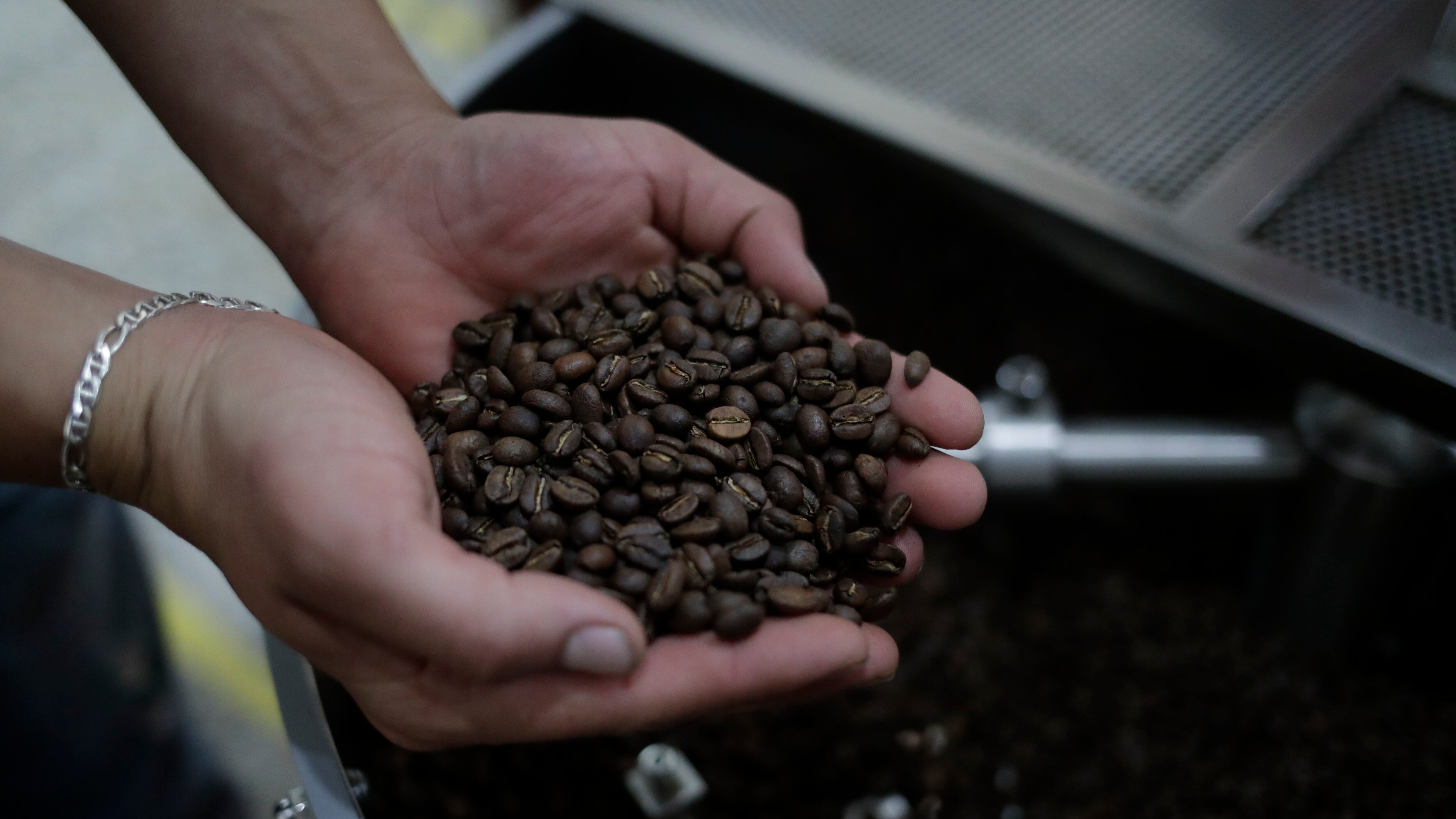 Cultivo de café en una finca del municipio de Arbeláez, Cundinamarca