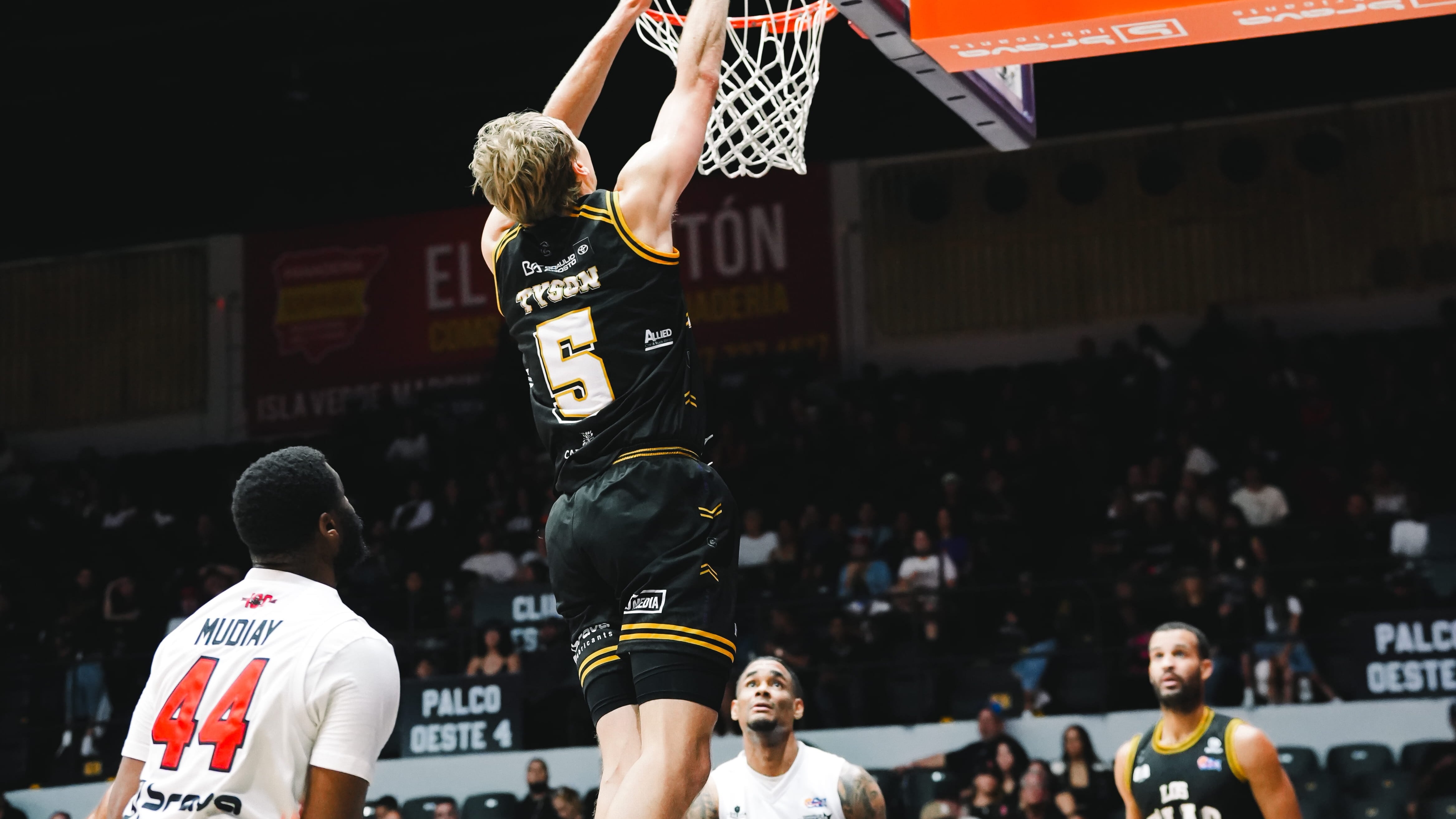 Gigantes de Carolina