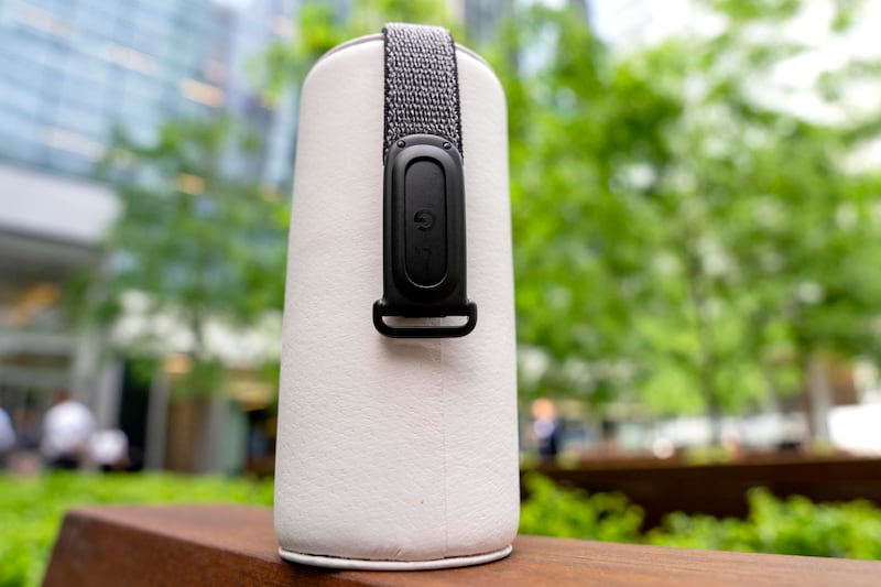Fitbit Air