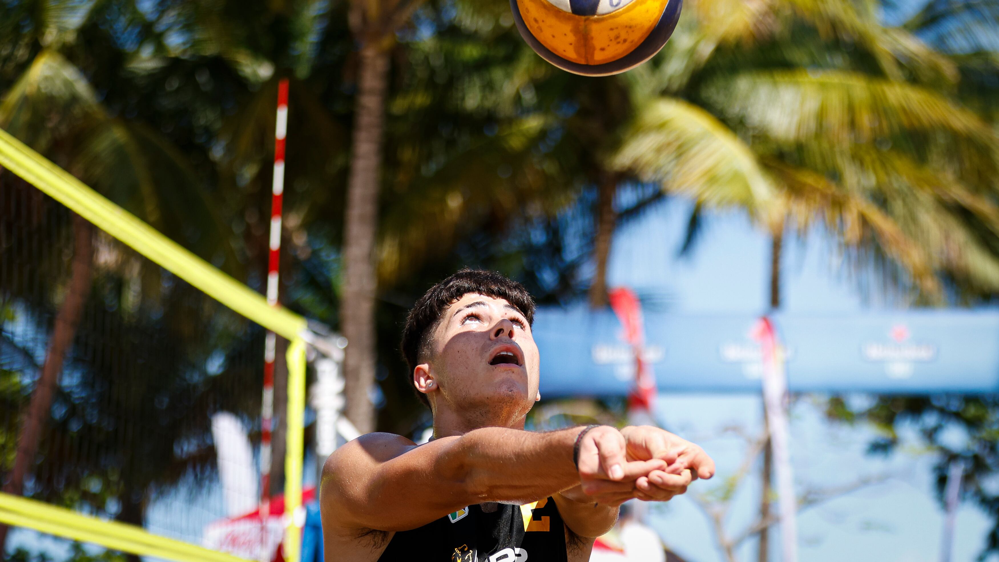 Liga Atlética Interuniversitaria