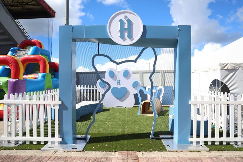 Parte del centro de adopción durante “SauceGiving” 2025 (Catia Martínez)