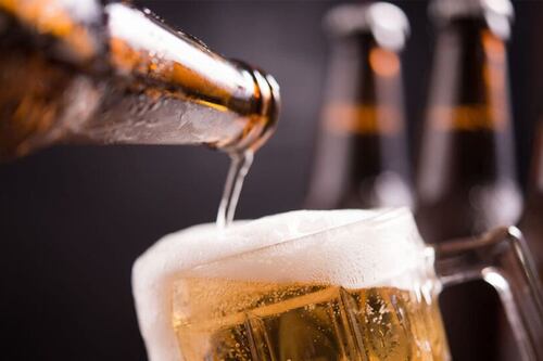 Jóvenes empresarios levantan el primer festival cervecero de Vega Baja