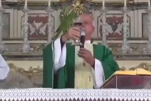 Loro se hace viral por querer el vino de la consagración en plena misa