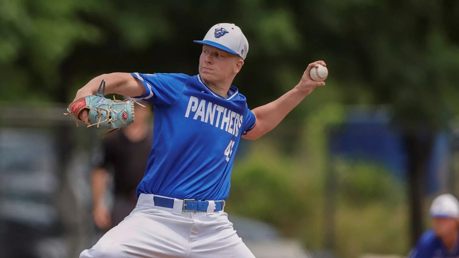Brandon Kaminer se une a los Leones de Ponce.