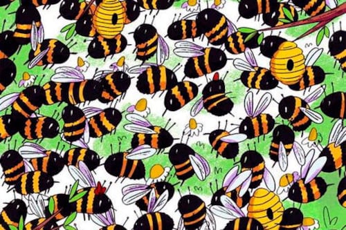 Desafío viral: ¿Puedes encontrar al intruso en esta imagen de abejas?
