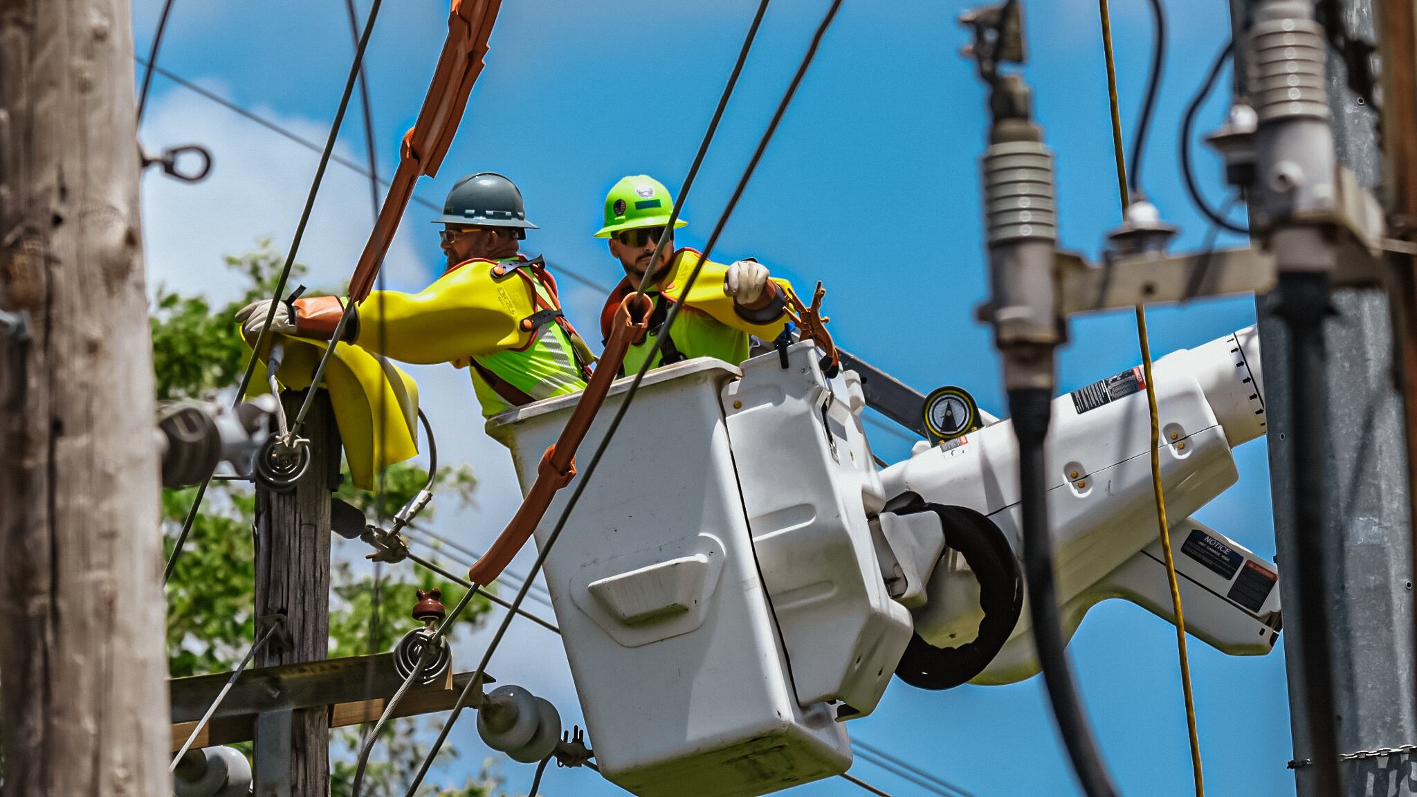 Trabajadores de LUMA Energy en trabajos de mantenimiento.