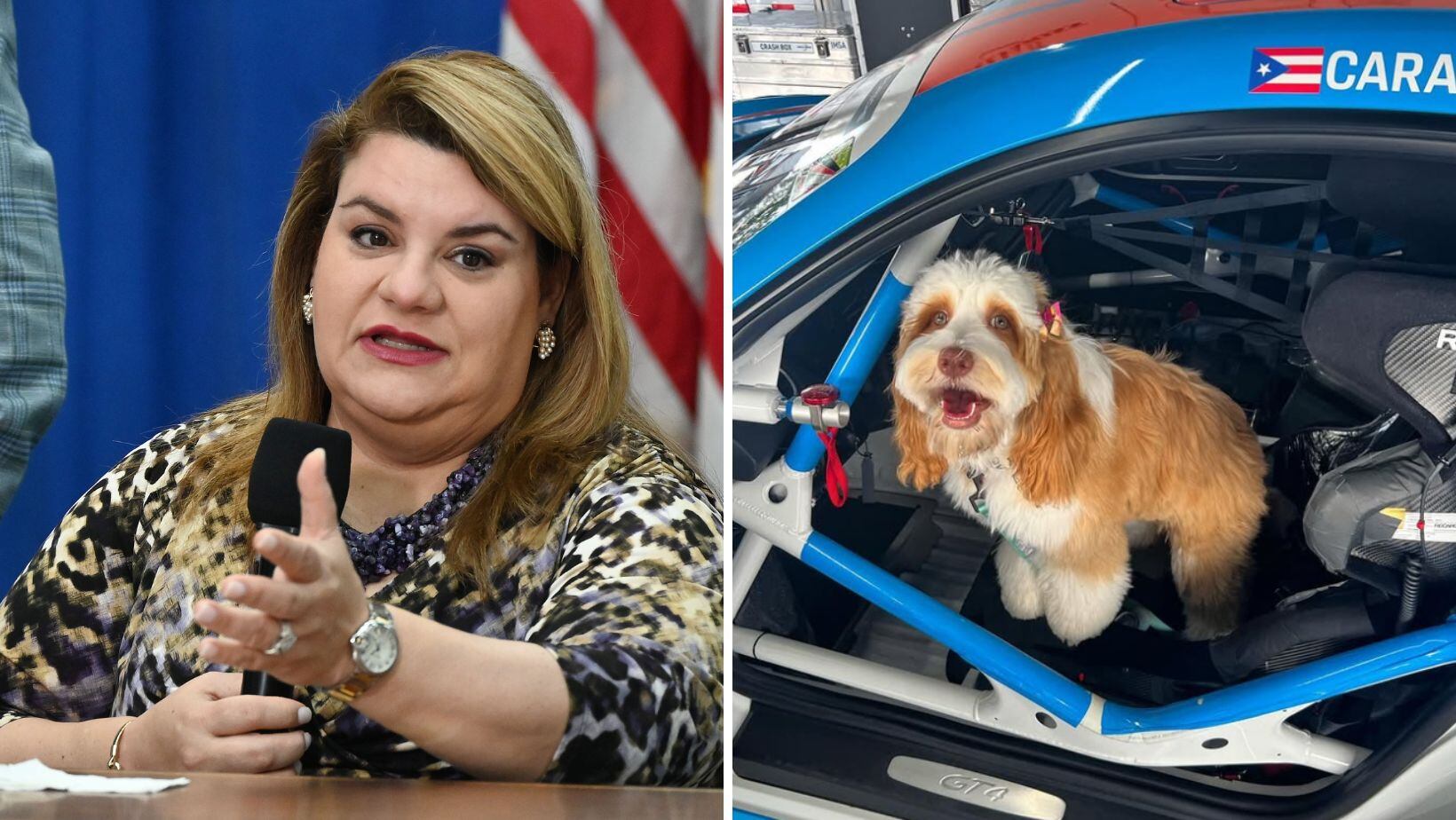 JGo dice que comisionada actual de OCIF no tiene nada que ver con el “Croqueta Fee”