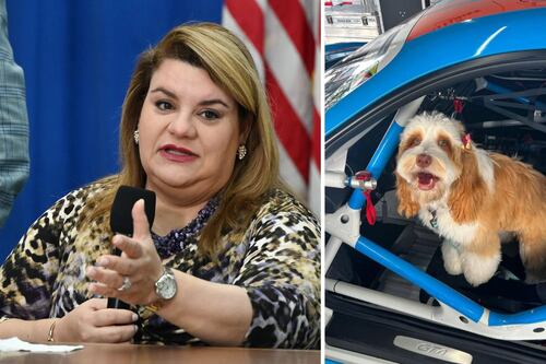JGo dice que comisionada actual de OCIF no tiene nada que ver con el “Croqueta Fee”